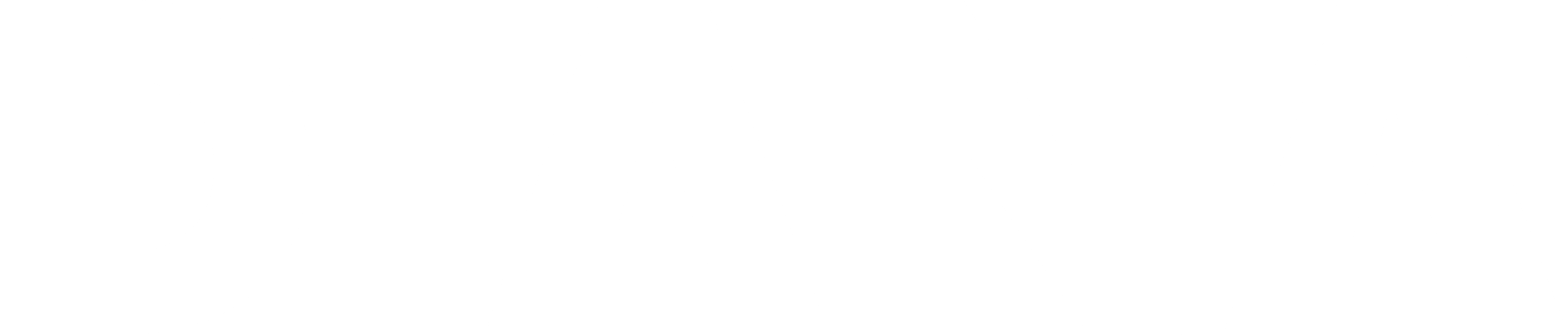 Diana Logo Diana Logo