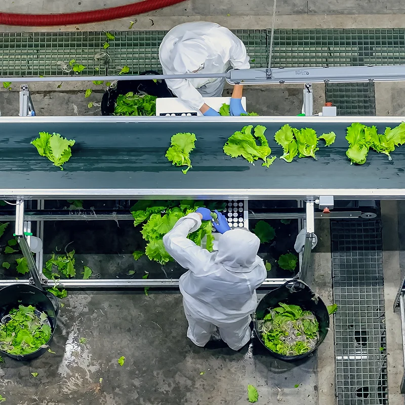 Innovation: i servizi di Polo Innovativo