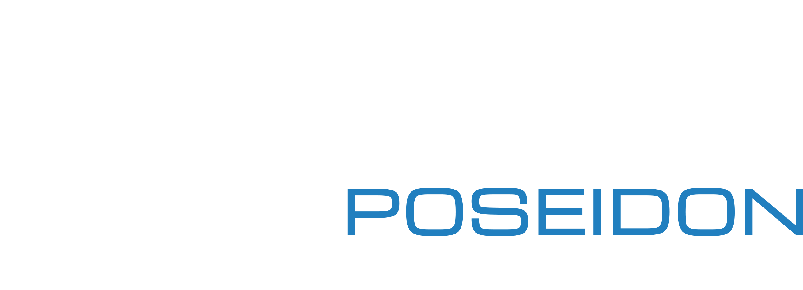 Black Poseidon Logo