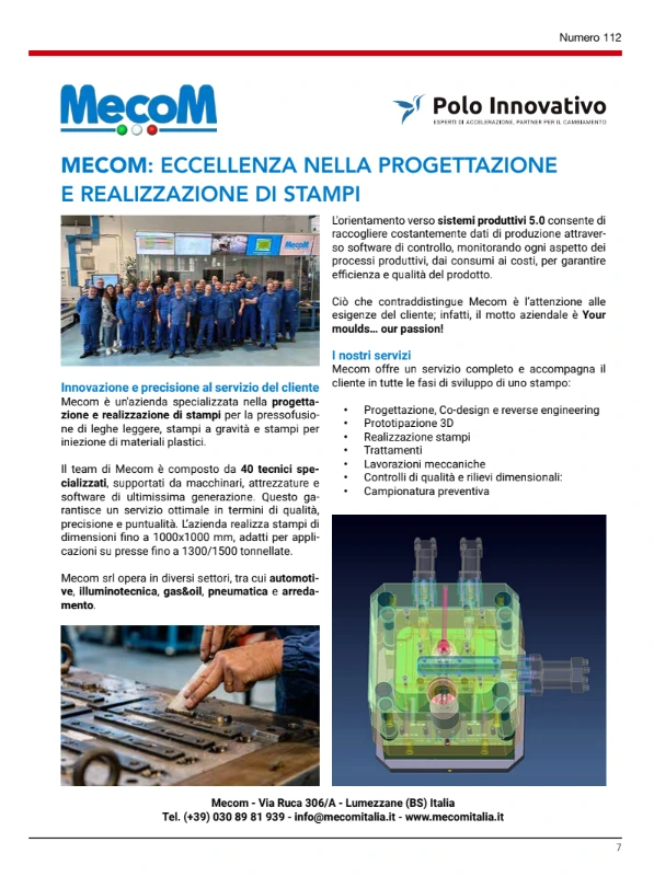 Meccanica e fonderia Mecom: eccellenza nella progettazione e realizzazione di stampi - Polo Innovativo Meccanica e fonderia Mecom: eccellenza nella progettazione e realizzazione di stampi - Polo Innovativo